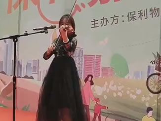 迎宾小提琴