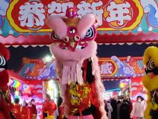 舞狮表演
