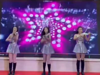 电子小提琴演奏
